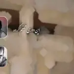 دانلود آهنگ این دوری تلفم کرده اون چشما نسخم کرده “ریمیکس هوش مصنوعی” از هایده، تتلو، محسن چاوشی